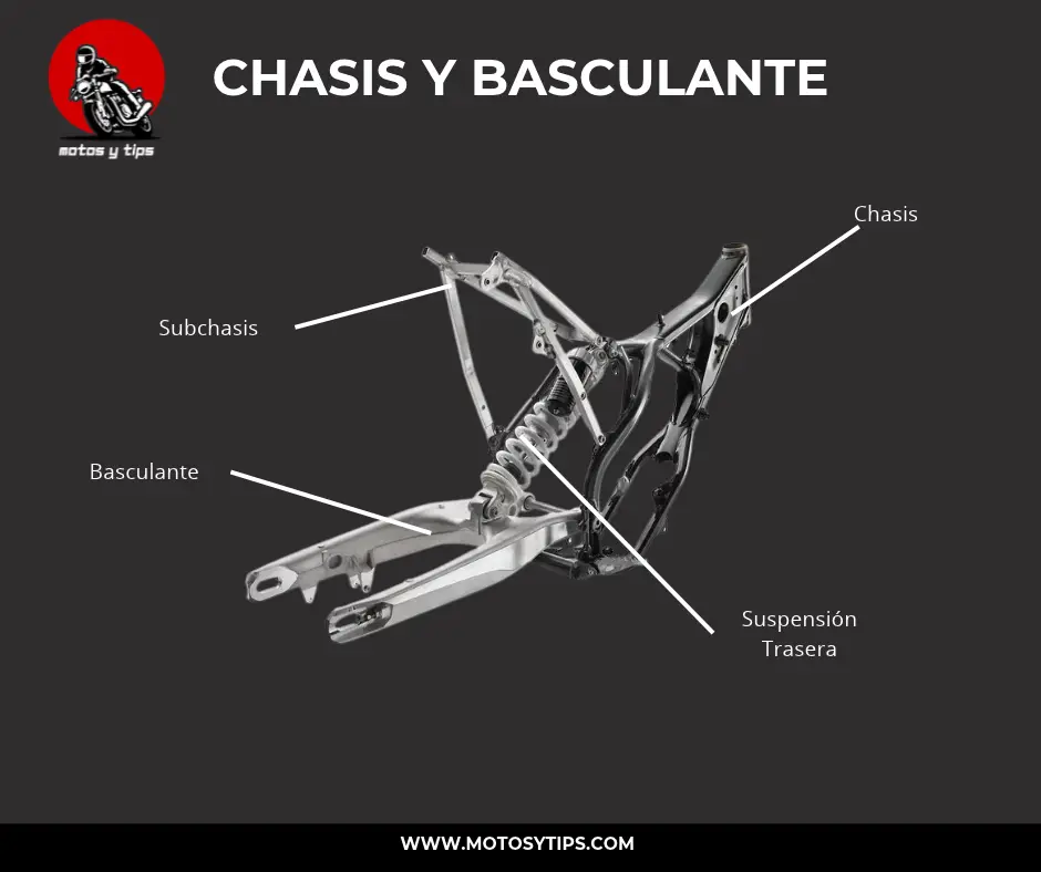Chasis y Basculante